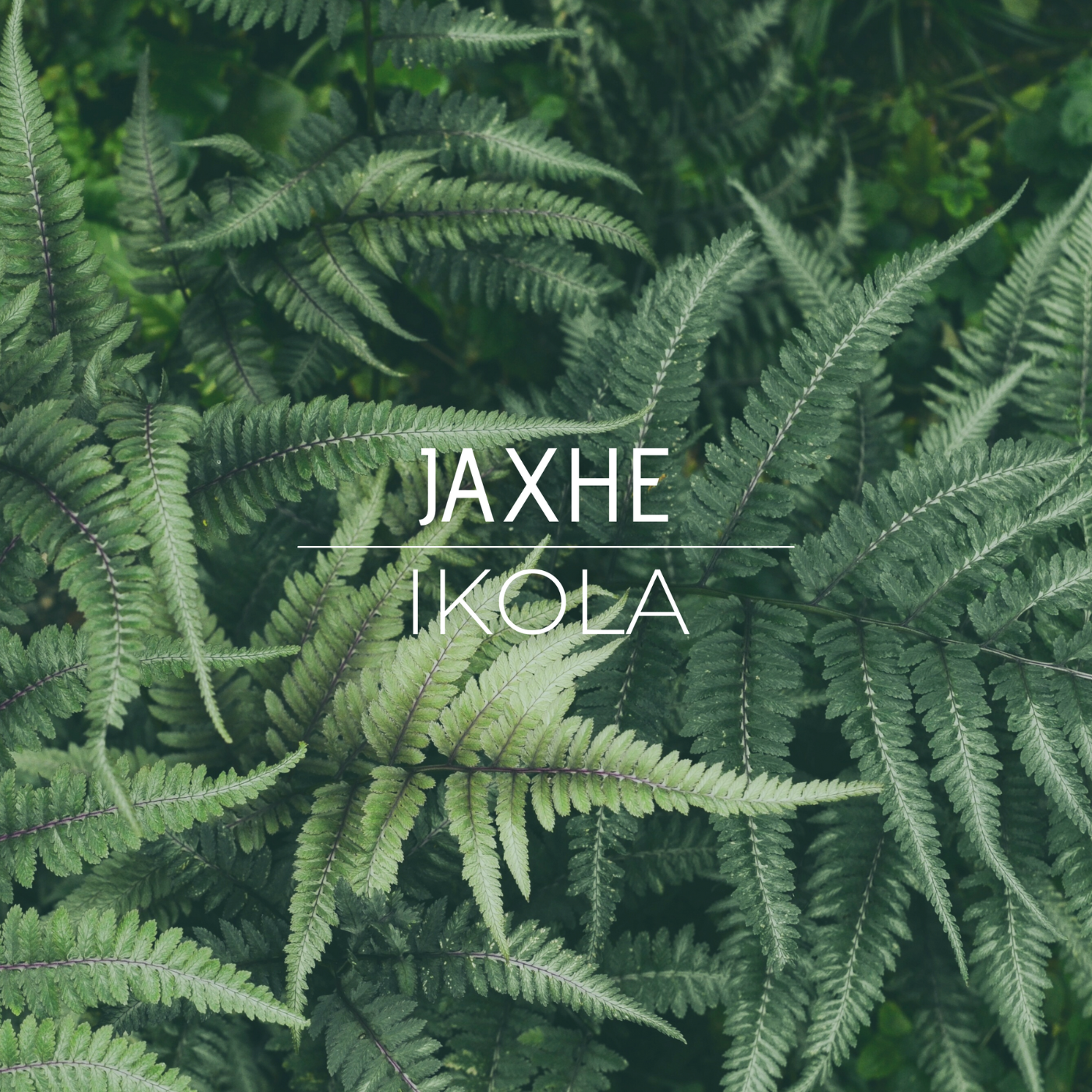 Jaxhe - Ikola