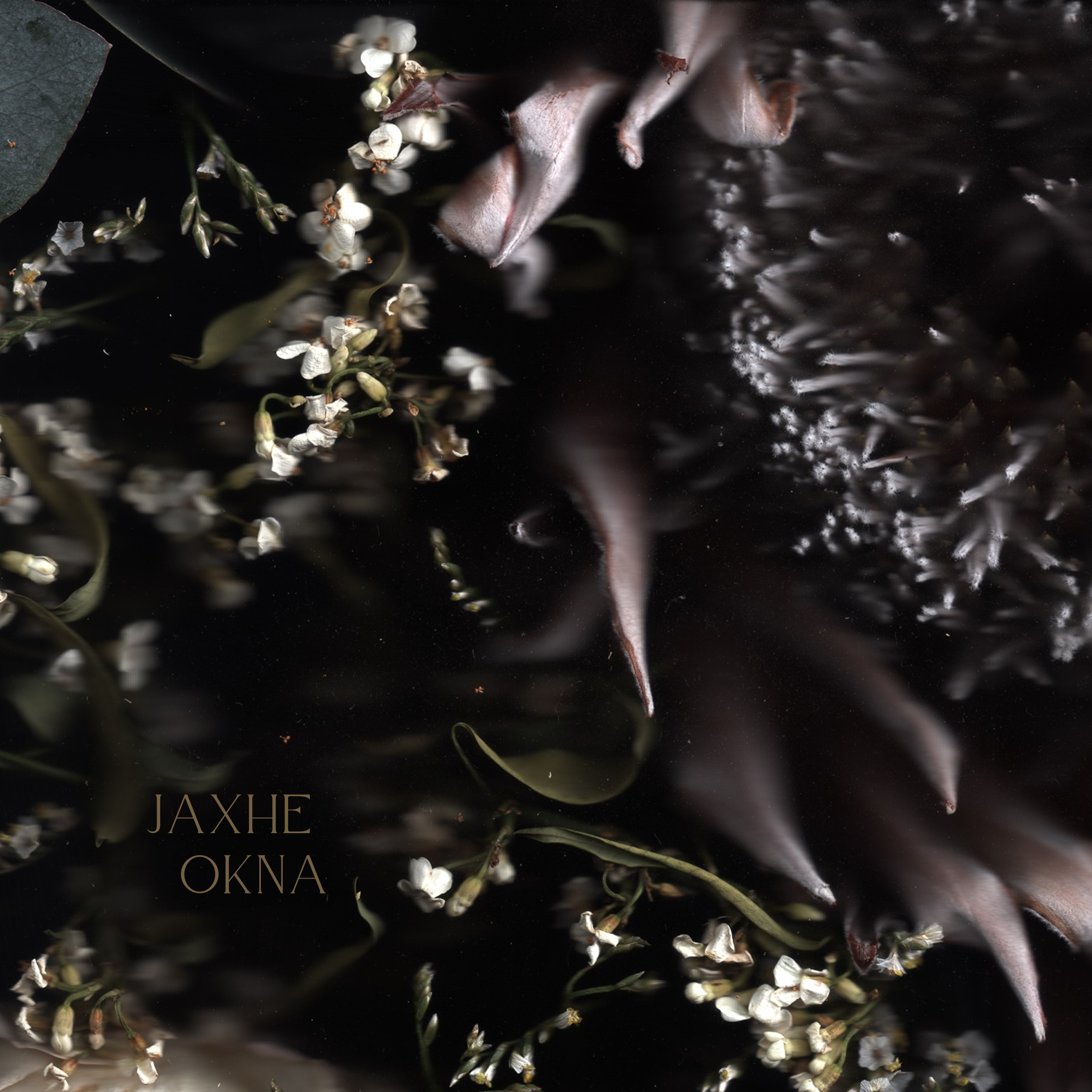 Jaxhe - Okna